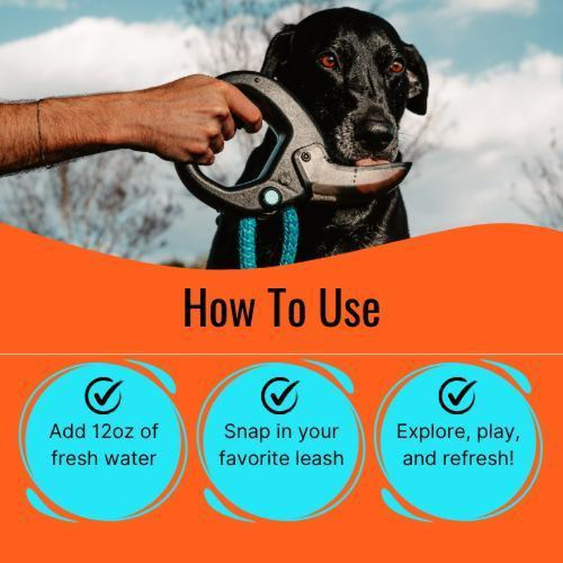 Dog Water Bottle with Flip Open Cup & Squirt Feature without Leash Portable Pet Water Dispenser Grip Handle Attaches to Your Leash Clutter Free Hikes Runs Walks Travel Holds 12 Fl Oz Water